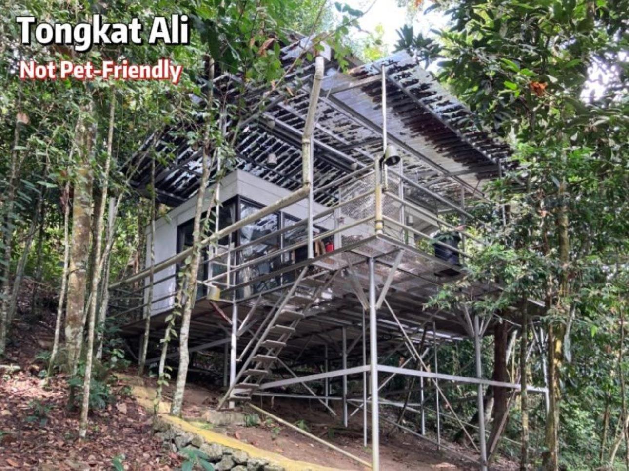 Gibbon Retreat Bentong Exterior foto